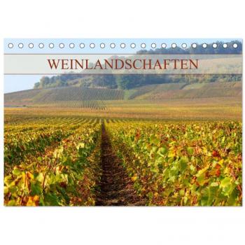 Weinlandschaften (Tischkalender 2025 DIN A5 quer) CALVENDO Monatskalender