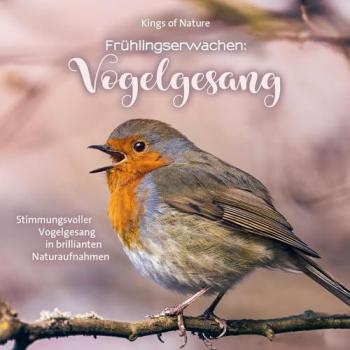 Frühlingserwachen: Vogelgesang