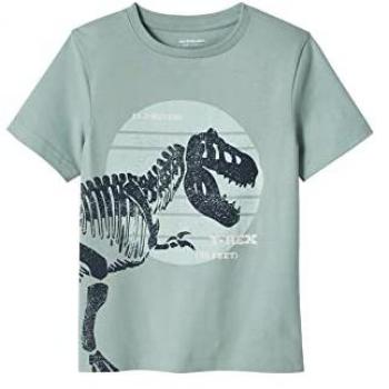 VERTBAUDET T-shirt garçon motif dinosaure géant menthe « Explorateur »