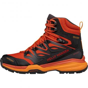 Trekking shoes Helly Hansen Traverse HT (en français)