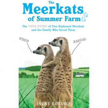 Jayne Collier The Meerkats Of Summer Farm: The True Story Of Two Orphaned Meerkats And The Family Who Saved Them