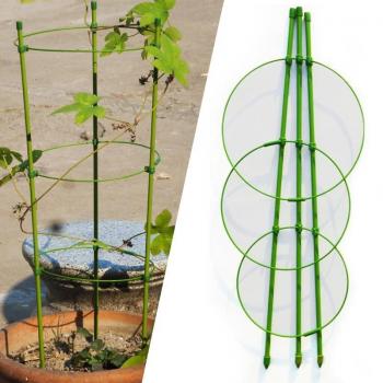 Support de jardin pour clématites