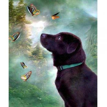 Full Round Diamond Painting: Labrador Retriever with Butterfly 20x30cm