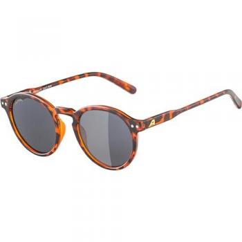 Alpina Sports Sonnenbrille Sneek