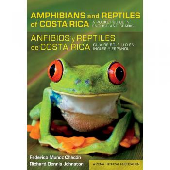 Anfibios y reptiles de Costa Rica / Amphibians and Reptiles of Costa Rica: Guia de bolsillo en Ingles y Espanol / A Pocket Guide in English and Spanish