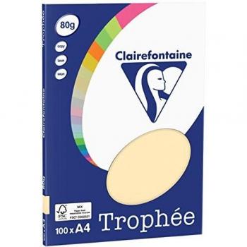 A4 Papier 80g chamois 100 Blatt