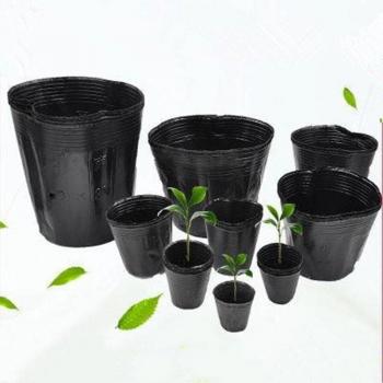 Caja de propagación de plantas sin capa interior