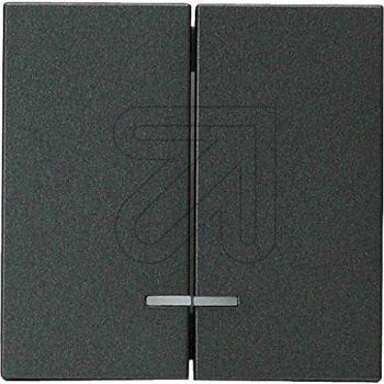 EGB Karre – Anthrazitfume 2fach Wippe beleuchtet, Taster + Schalter