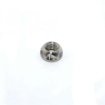 304 Stainless Steel Security Nuts for Car Accessories