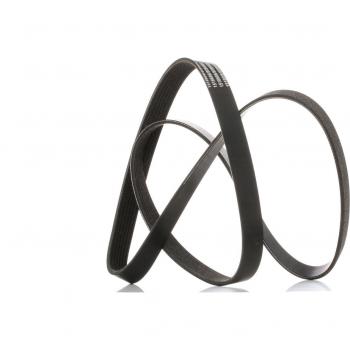 Cinghia servizi RIDEX per BMW,HONDA,LAND ROVER