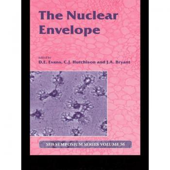 The Nuclear Envelope