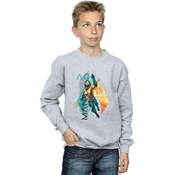 Aquaman Tropical Icon Juvenile Sweatshirt (Grey)