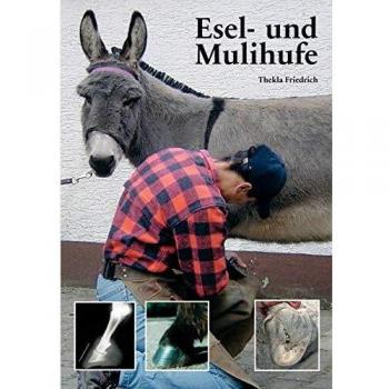 Esel