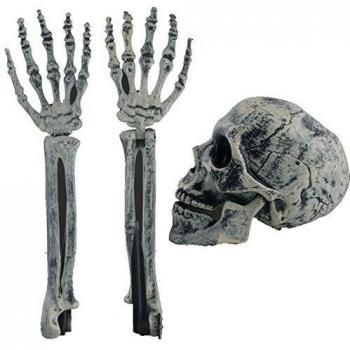 WSCOLL Spooky Skull Halloween Decoration