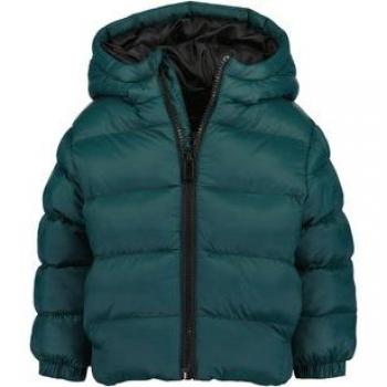 Veste BLUE SEVEN sapin