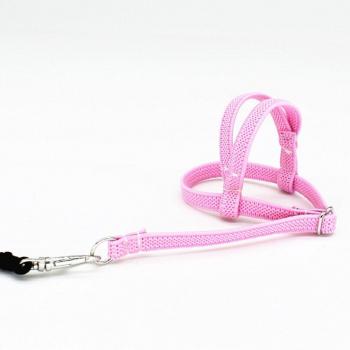 Parrot Training Leash and Harness Set