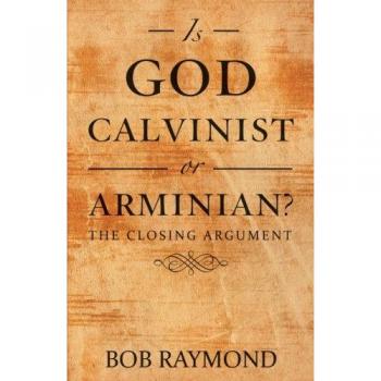 Is God Calvinist or Arminian?