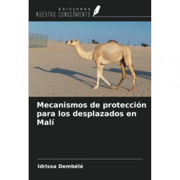 Mecanismos de protección para los desplazados en Malí
