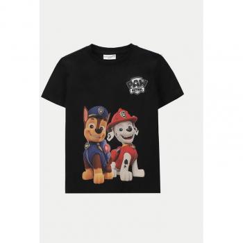 Coccodrillo Freizeit T-Shirt Regular Fit