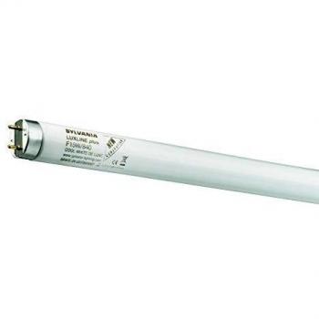 Sylvania Luxline Plus 29 T8 Cool White Fluorescent Tube 16W