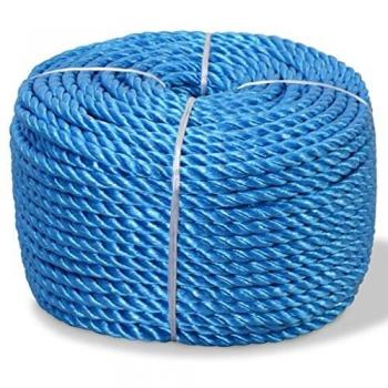 VidaXL Blue Twisted Polypropylene Rope 10 mm 100 m