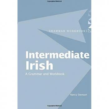 Intermediate Irish: A Grammar and Workbook
