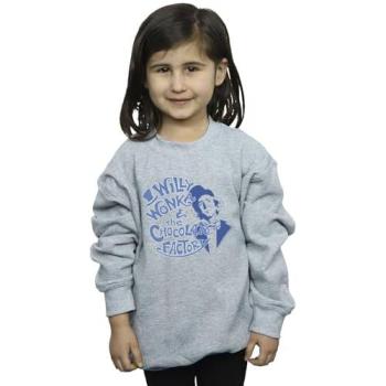 Grey Warner Bros Junior Logo Pullover for Ages 3-4