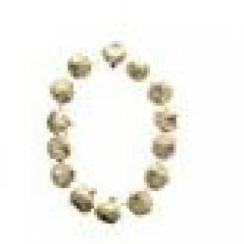 Collana Aglio da Vampiro in Plastica