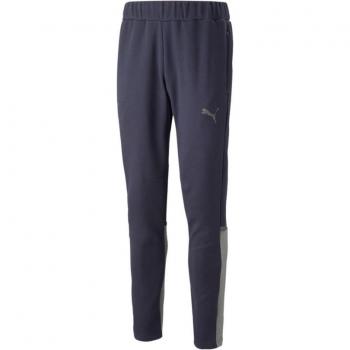 PUMA Jogginghose teamCup Herren