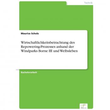 Wirtschaftlichkeitsbetrachtung des Repowering-Prozesses anhand der Windparks Borne III und Welbsleben