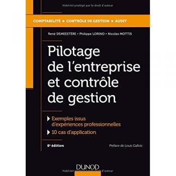 Pilotage de l'entreprise et contrôle de gestion
