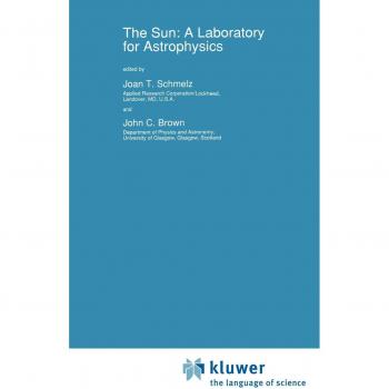 The Sun: A Laboratory for Astrophysics (Nato Science Series C:, 373, Band 373)