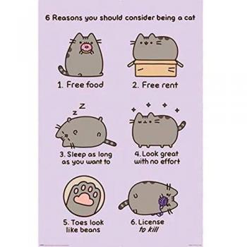 Pusheen – 61 x 91 cm: Warum ich eine Katze bin – Poster