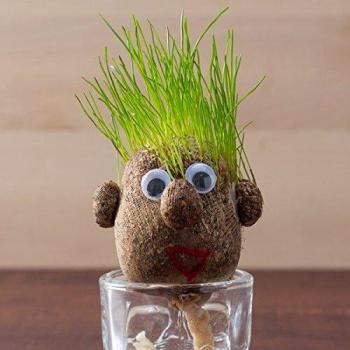 Ensemble ludique de culture d'herbe en forme d'oeuf