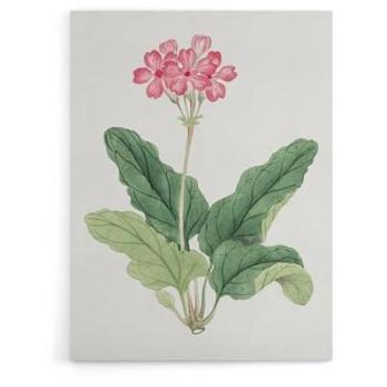 Japanese Sakura Bloom Canvas Print – Retro Pink Botanical Artwork – 18W × 24H