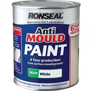 Ronseal Anti-mould Paint Matt White