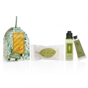 Ornamento Festivo Verbena – Box Regalo Corpo