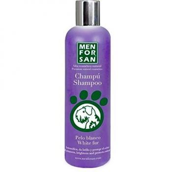 Men For San Shampoo for Gray Hair