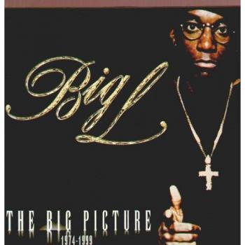 The big picture vinyl lp