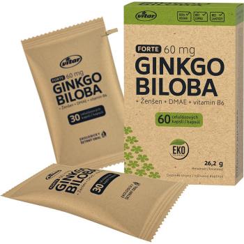VITAR Ginkgo biloba 60mg + DMAE + vitamin B6 EKO, kapsle 60
