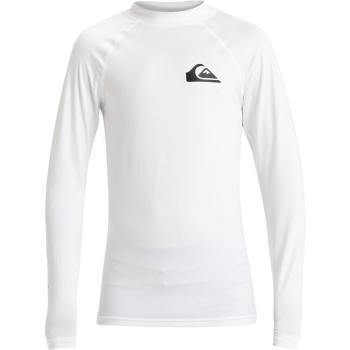 Camiseta Quiksilver Everyday manga larga niño