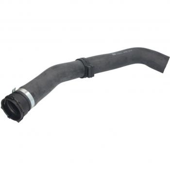 Radiateurslang voor DAF XF 105/95 FEBI BILSTEIN