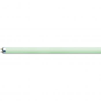 T8 G13 Osram Colourful Lampada di Luce