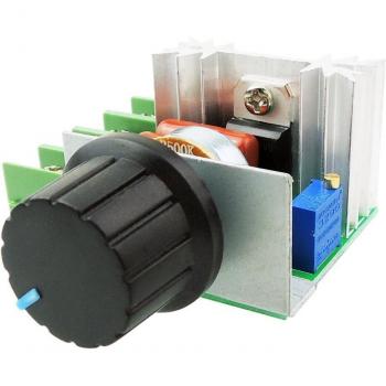 Électronique régulatrice de vitesse moteur 50-220V