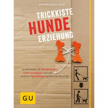 Trickkiste Hundeerziehung gelb 12 x 3,5 cm