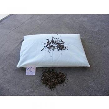 Oreiller Clairvoyant REVEUR Bio