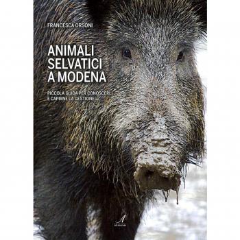 Animali selvatici a Modena. Piccola guida per conoscerli e capirne la gestione