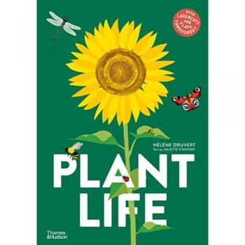 Hélène Druvert Plant Life