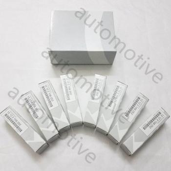 Set Doble Platino Bujías BMW 550i, 650i, 750i, 750Li y X5