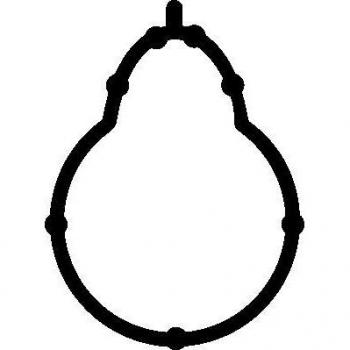 Elring Air Intake Gasket 359.370